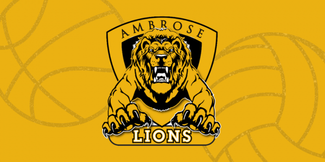 Lions Logo Camps